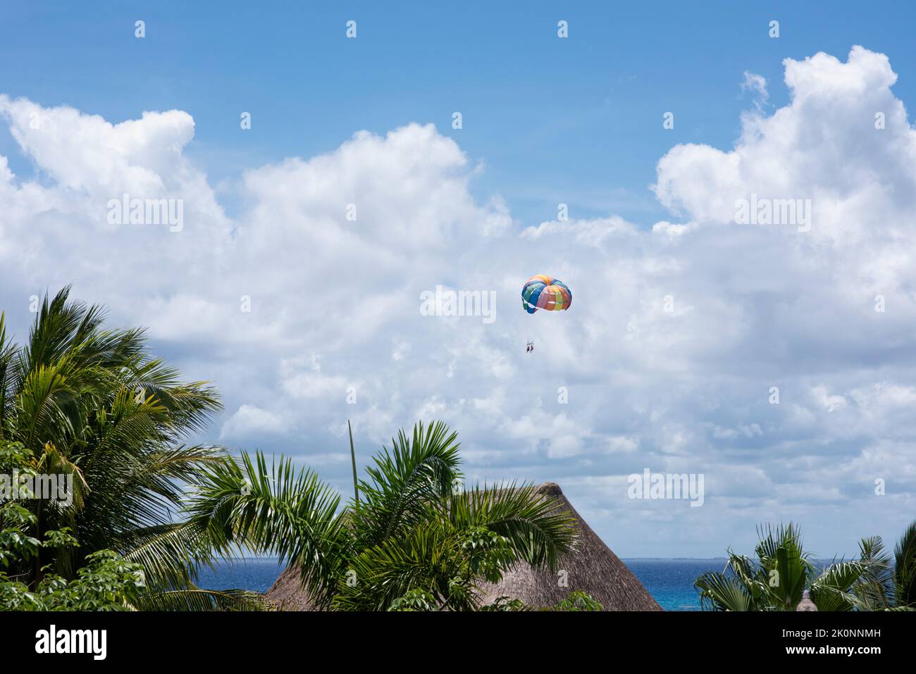 Tourists on parasailing against blue sky and white clouds, fly over palm trees at a tropical beach in Mexico Stock Photo
