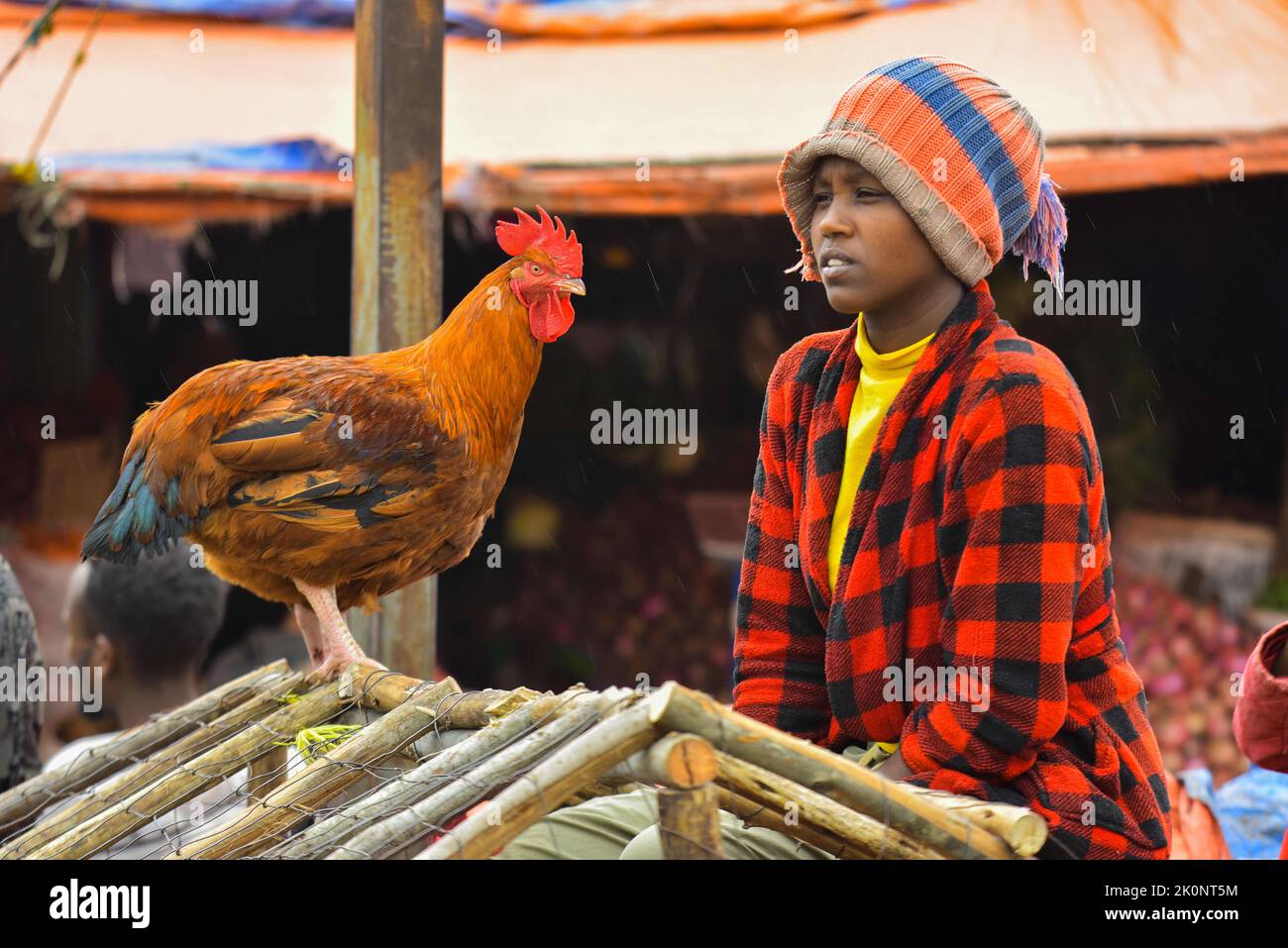Addis Ababa, Ethiopia. 9th Sep, 2022. A trader of live chickens is seen