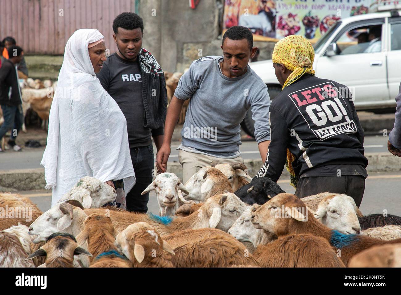 Addis Ababa, Ethiopia. 9th Sep, 2022. People select sheep at Shola