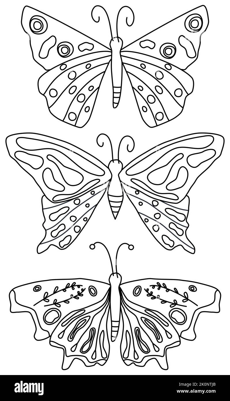Cute black and white vector art design with butterfly insect, daisy ...