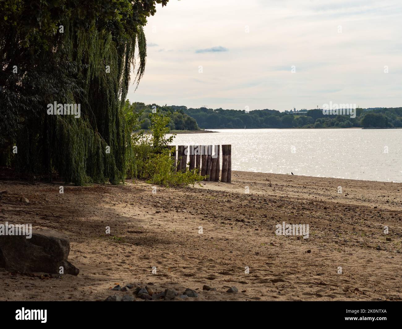 Beach landscape with wooden wave breakers and big trees. The calm water of the Bautzen Reservoir is glowing in the sunlight. A sandy bathing beach. Stock Photo