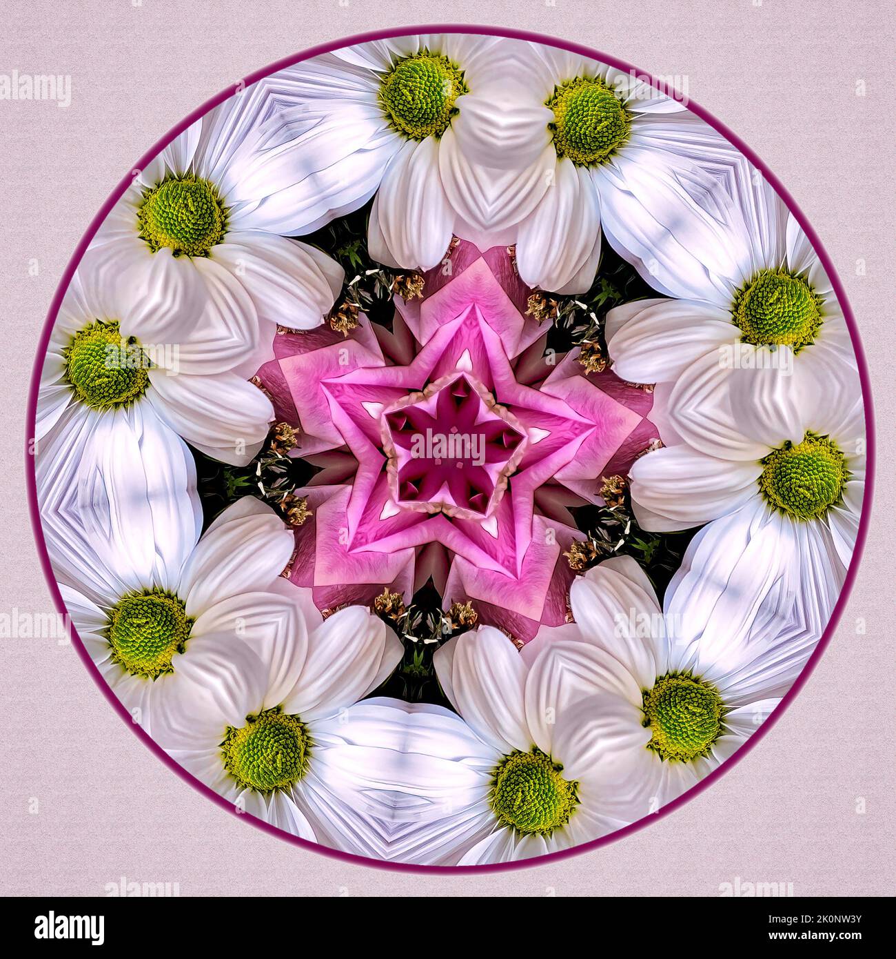 Mandala Floral Kaleidoscope Pattern: Kaleidoscope photography produced this abstract, geometric, floral pattern. Stock Photo