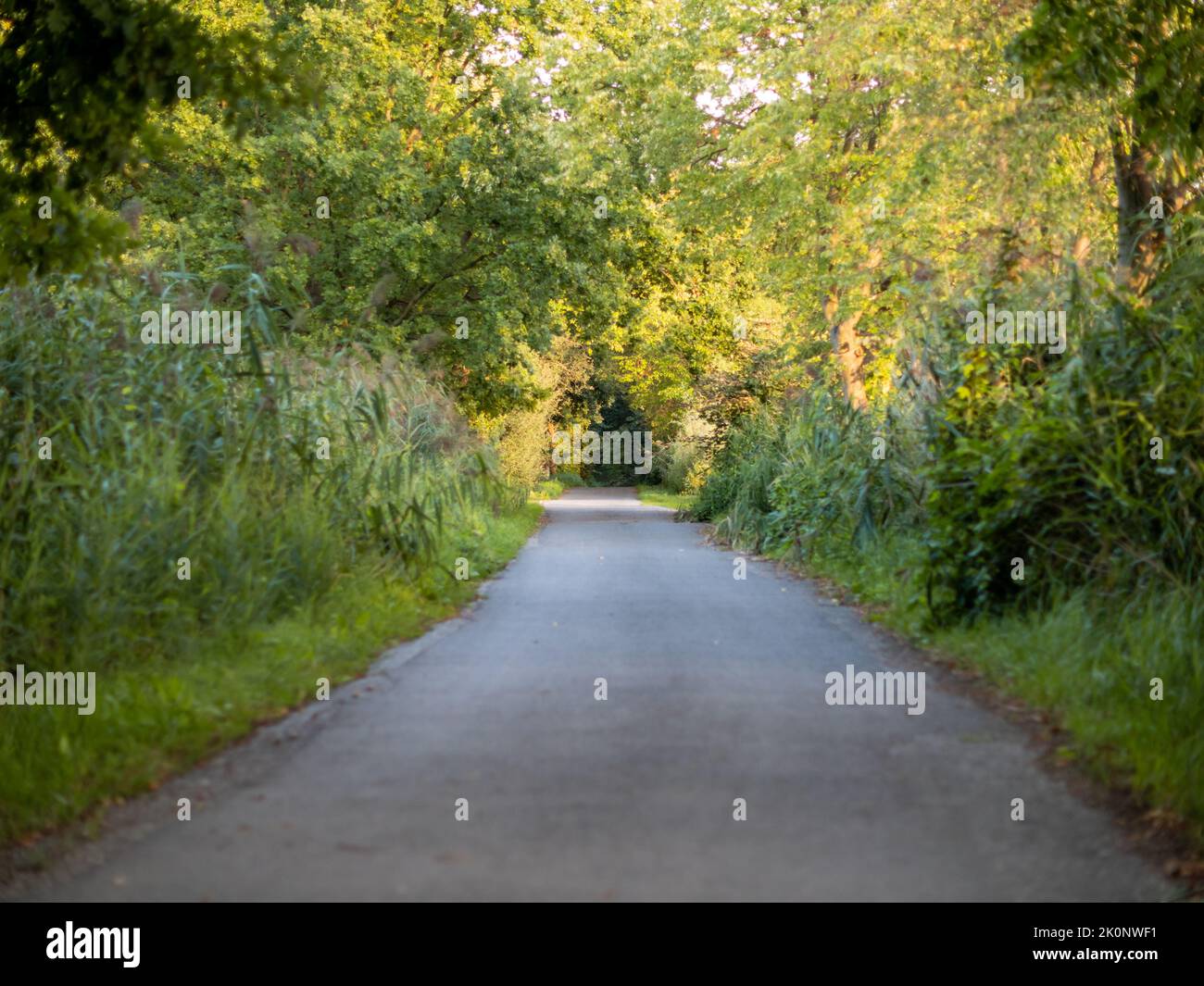 Trippy tunnel hi-res stock photography and images - Alamy