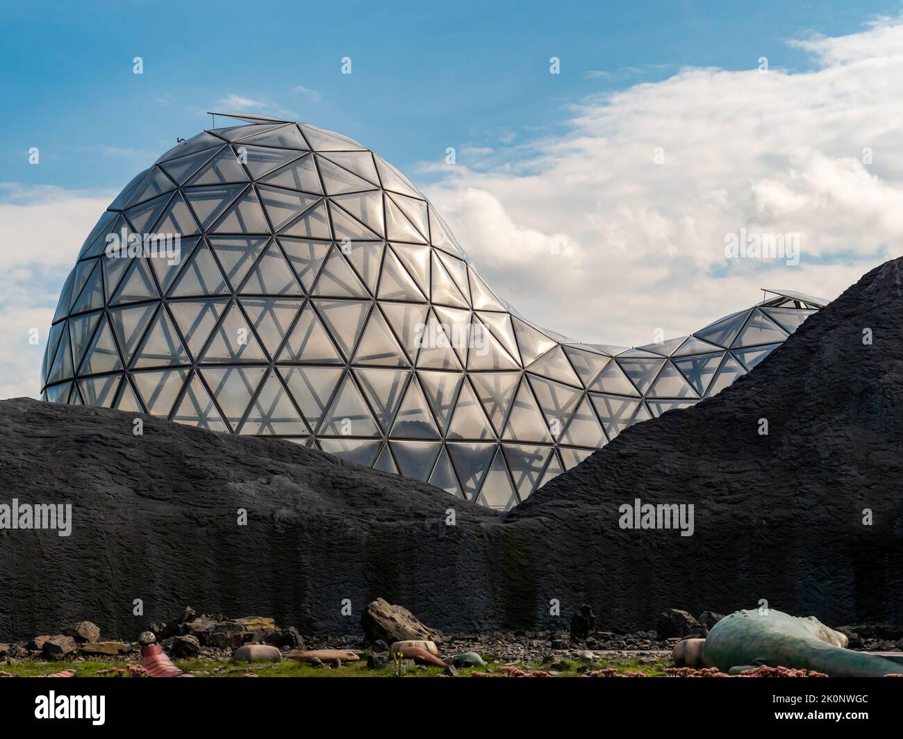 Primordial cell hi-res stock photography and images - Alamy
