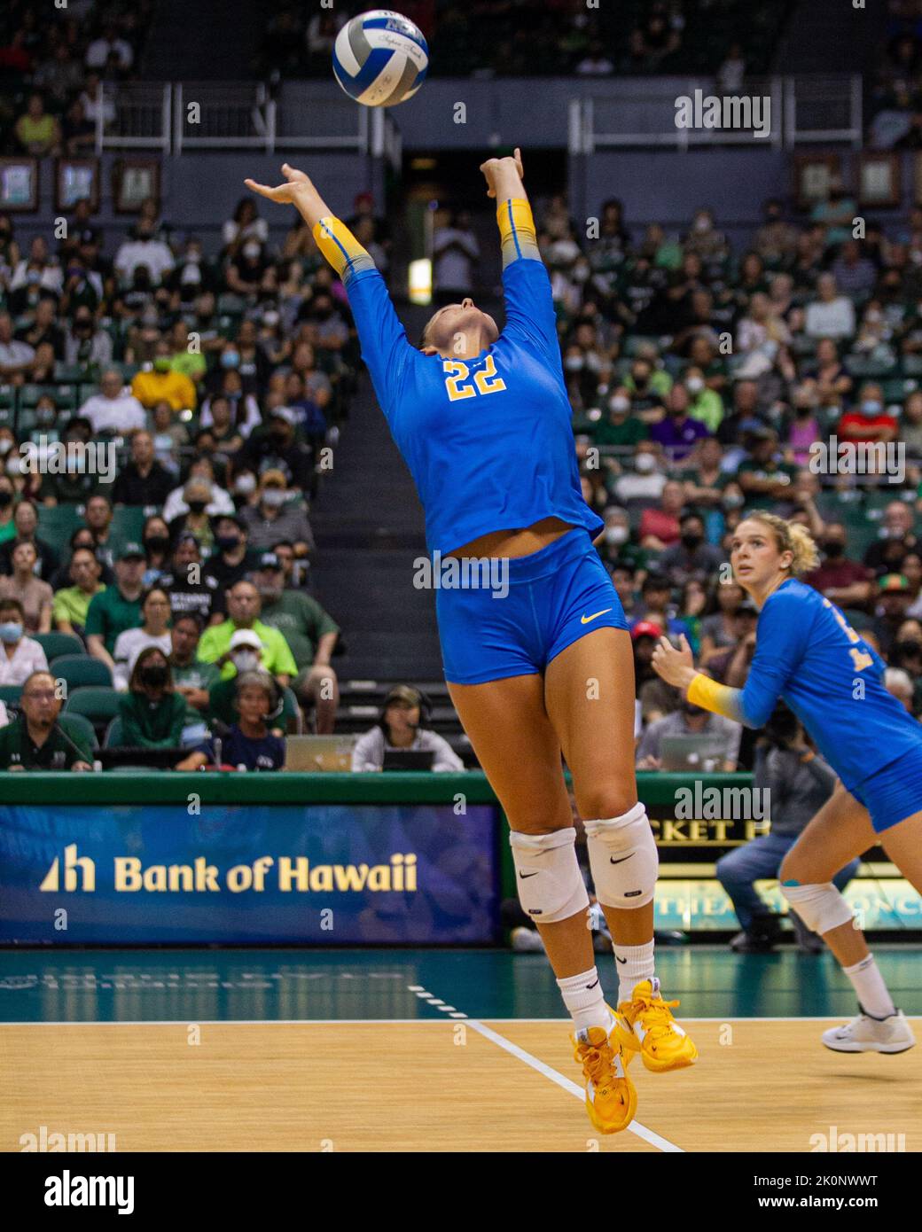 September 4, 2022 UCLA setter Matti McKissock (22) sets the ball