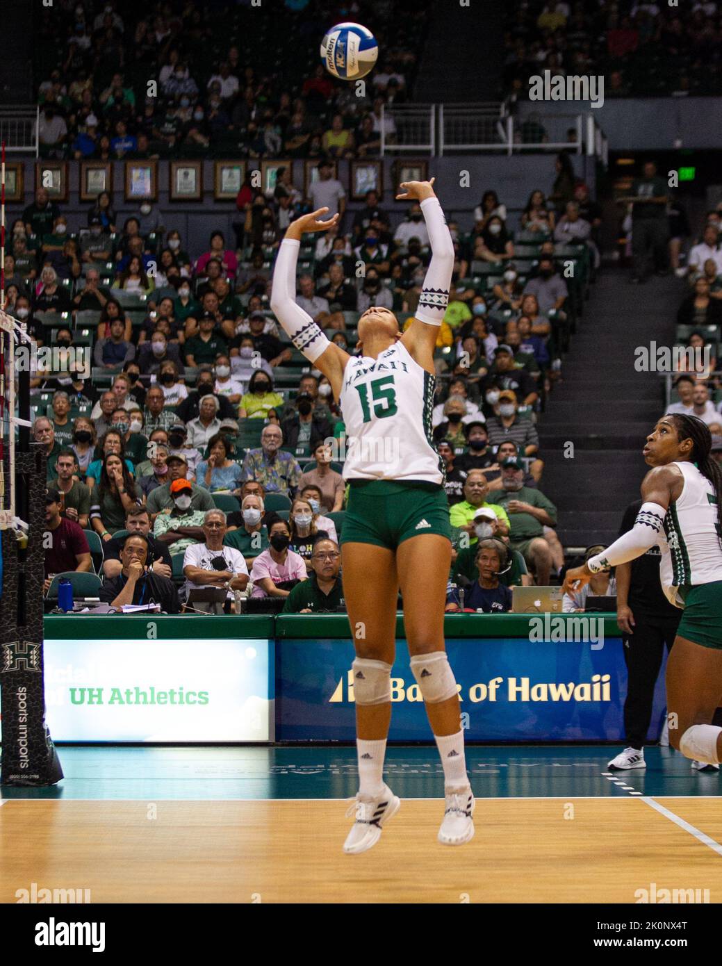 September 4, 2022 - Hawaii setter Mylana Byrd (15) sets the ball during the match of the Hawaii vs. UCLA volleyball game at the Simplifi Arena at Stan Sheriff Center in Honolulu, Hawaii. Glenn Yoza/CSM Stock Photo