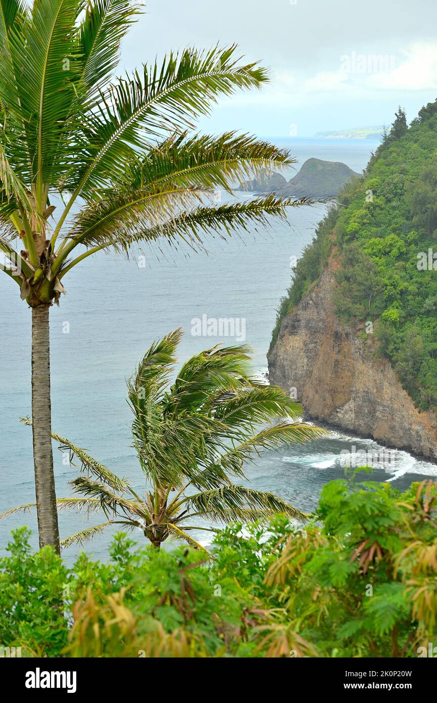 The tropic landscape in Northern Kohala at the Waiakalae Gulch was the