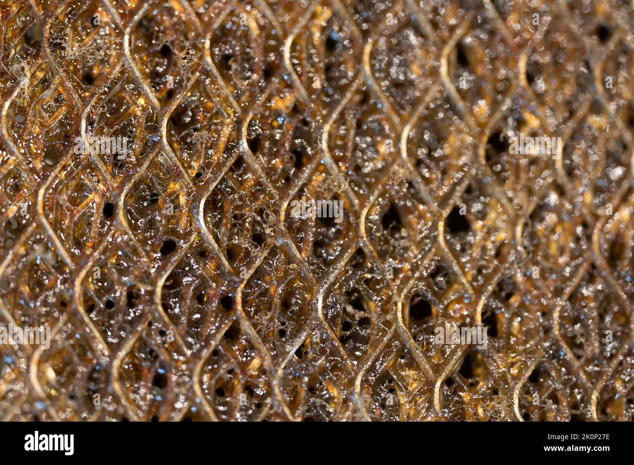 Selective focus macro of a dirty kitchen range hood filter clogged with grease. Stock Photo