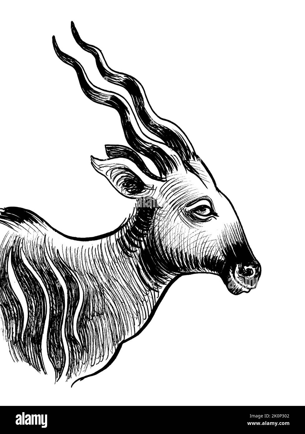 African antelope ink black and white drawing Stock Photo - Alamy