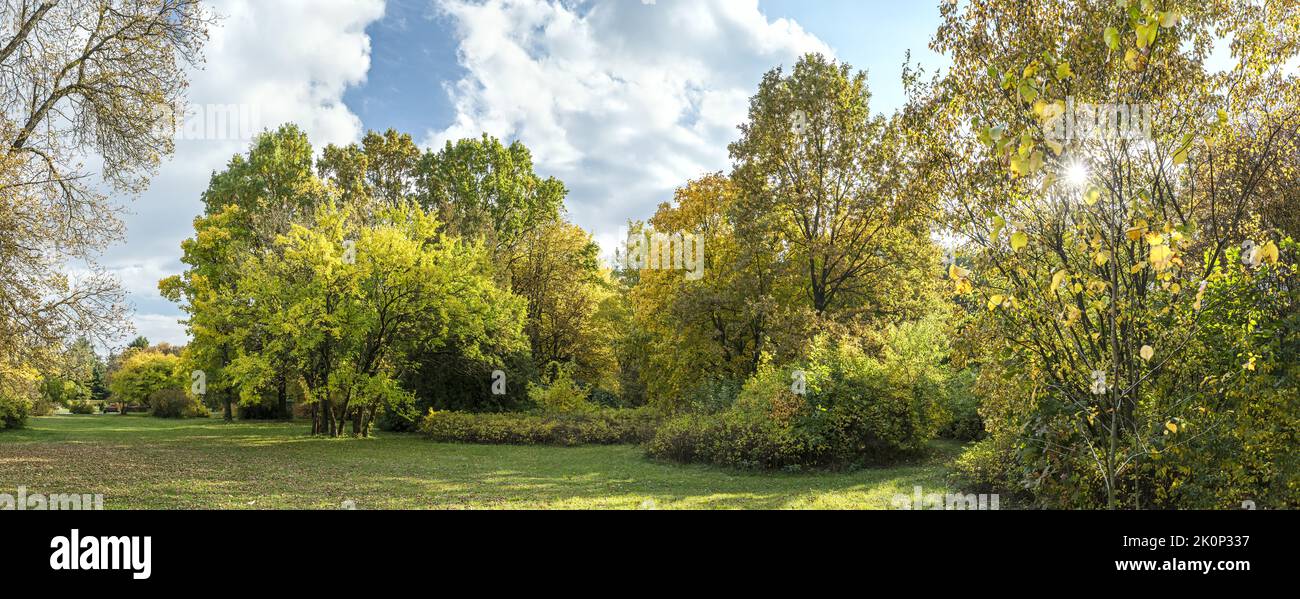 picturesque autumn park landscape in bright cloudy day. panoramic view. Stock Photo