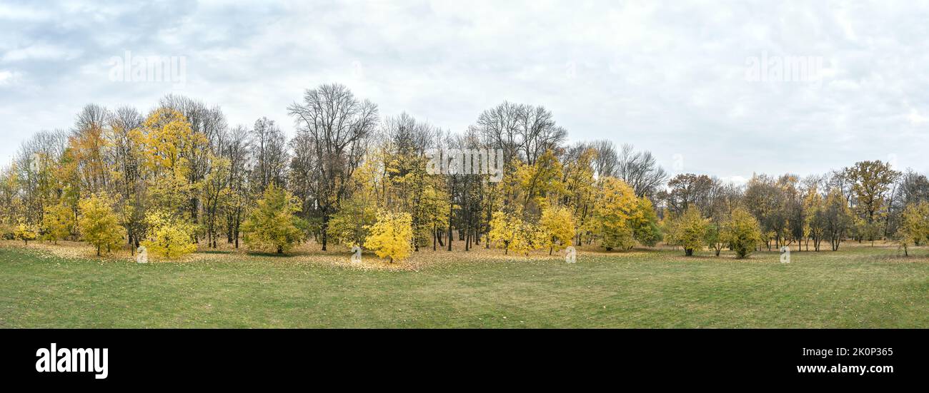 autumn park landscape. trees in yellow and orange colors on cloudy sky background. panoramic drone photo. Stock Photo