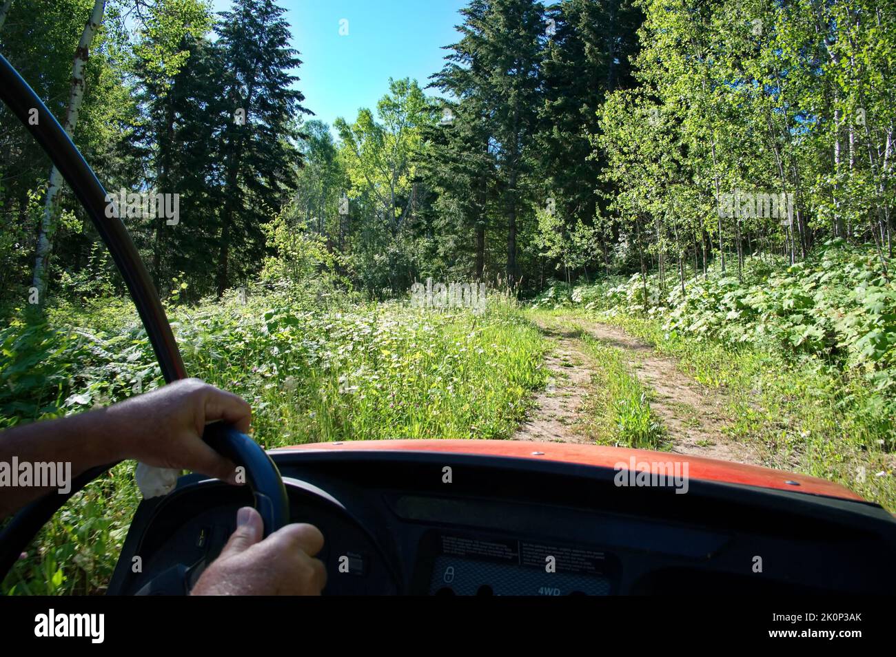 Driving with quad through the forest - view from inside Stock Photo