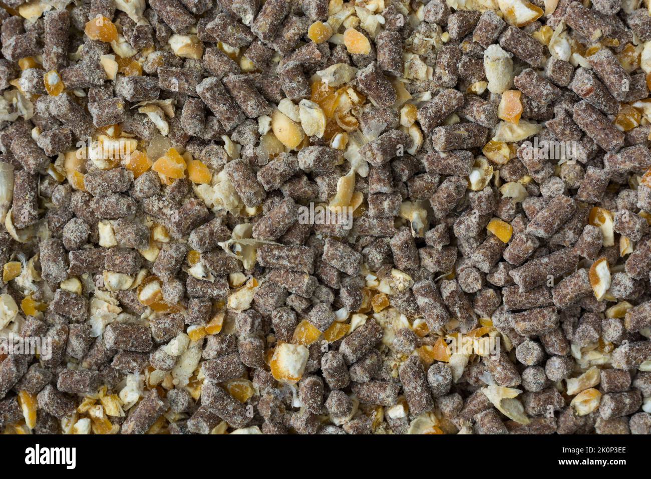 chicken feed, pellets mixed with chicken scratch or cracked corn with other grains, pelleted or granulated rations,close-up macro full frame Stock Photo