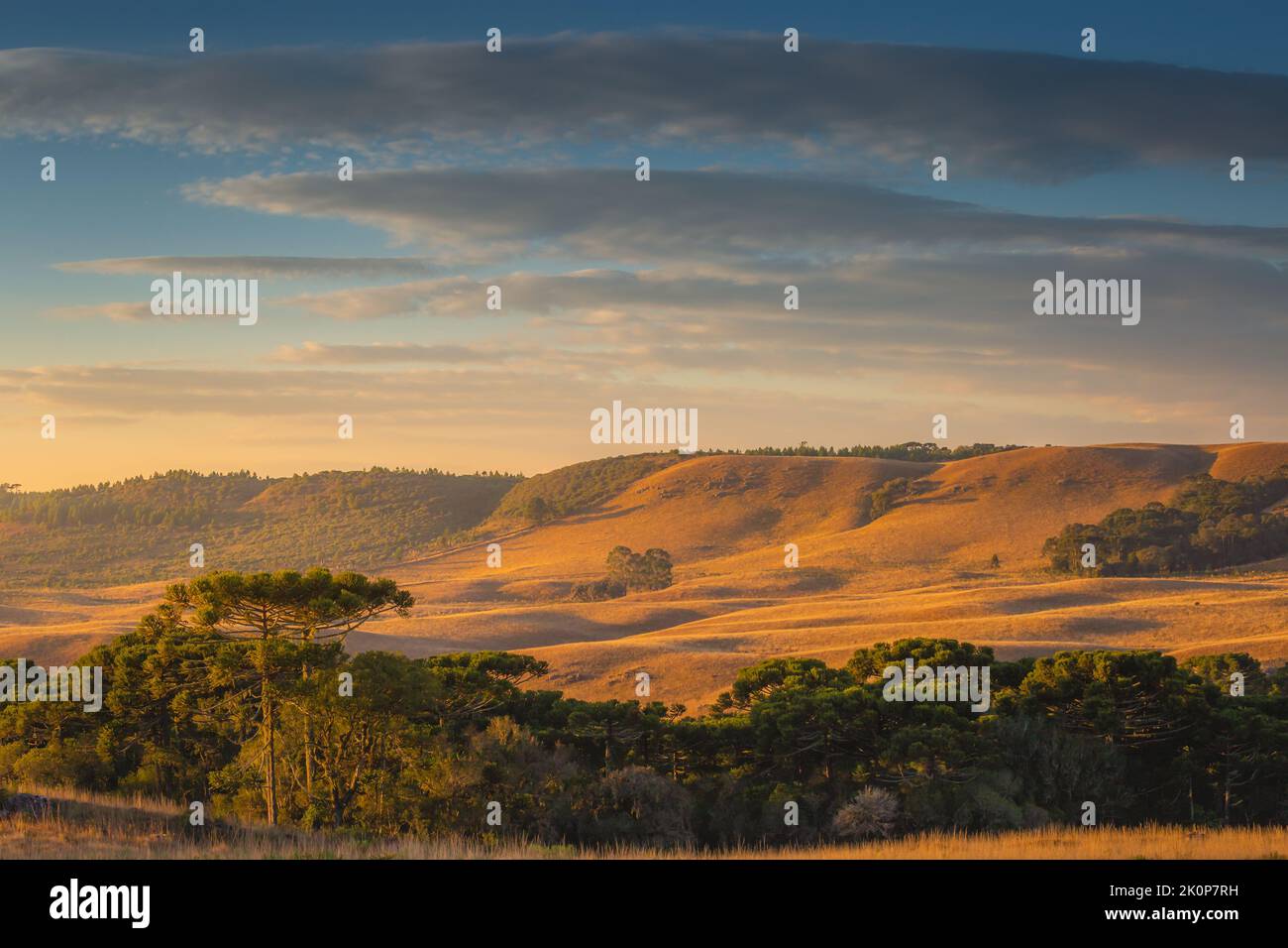 Southern Brazil countryside and meadows landscape at peaceful sunrise Stock Photo