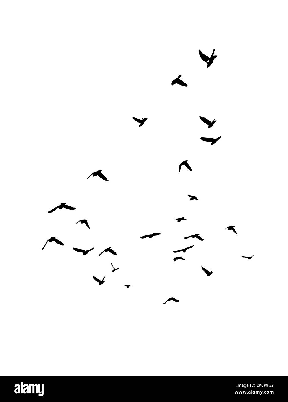 A flock of flying birds. Free birds. Vector illustration Stock Vector