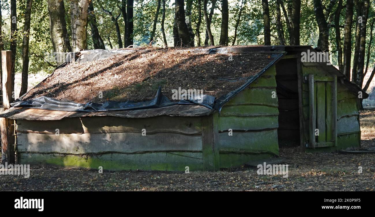 Old sheepfold in the shade.It is constructed from rough planks. Location: Springendal, the Netherlands Stock Photo