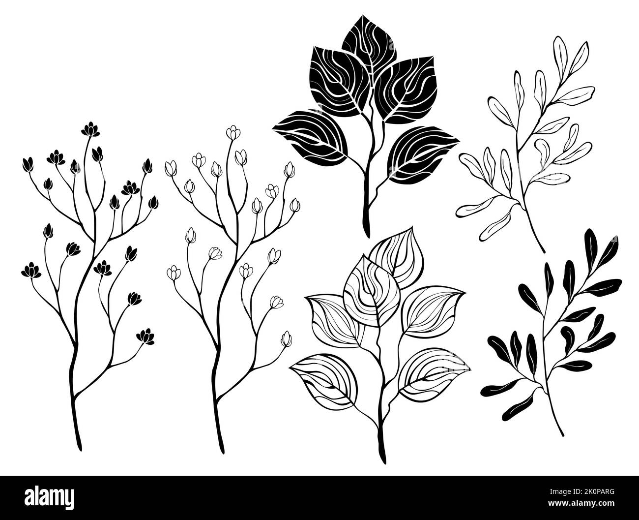 Set of contour, black, silhouette, artistically drawn wild plants, twigs for bouquet and leaves, on white background. Cottagecore. Contour and silhoue Stock Vector