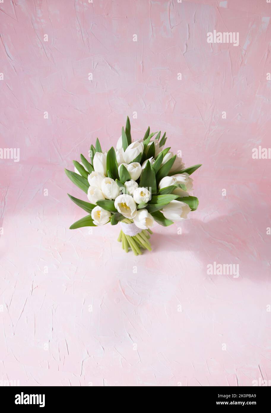 White tulips bouquet flowers and ray of light on vintage pink background. Top view with copy space. Studio shot photo. Stock Photo