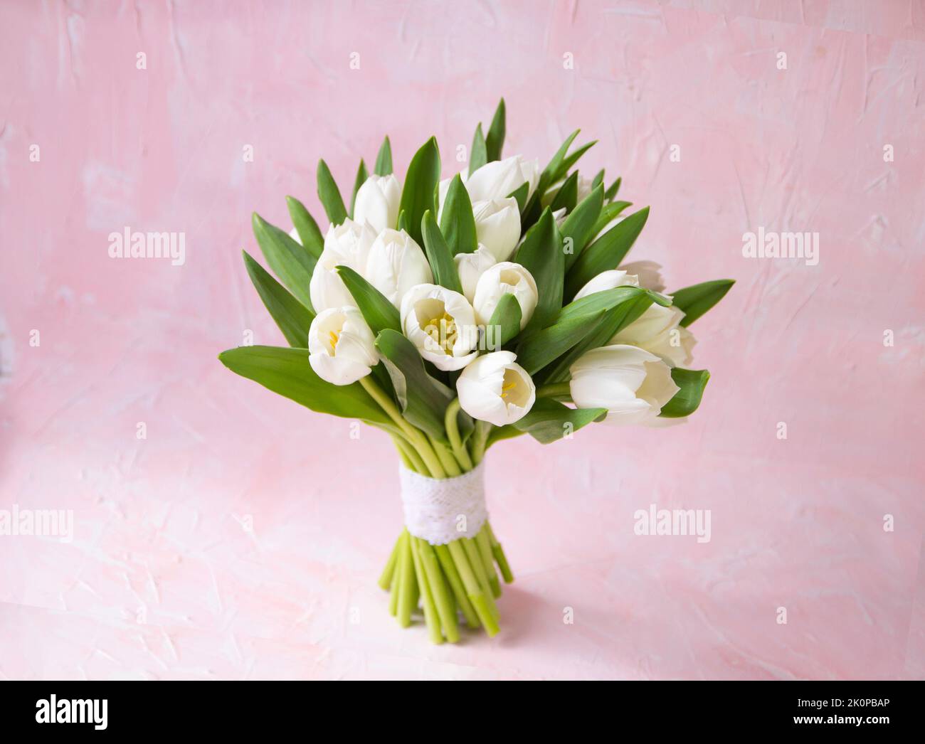 White tulips bouquet flowers and ray of light on vintage pink background. Front view with copy space. Studio shot photo. Stock Photo