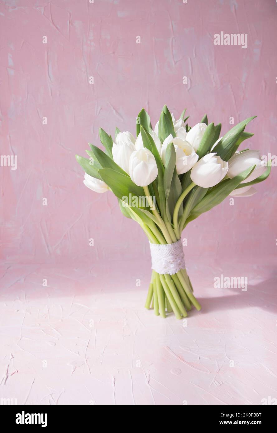White tulips bouquet flowers and ray of light on vintage pink background. Front view with copy space. Studio shot photo. Stock Photo