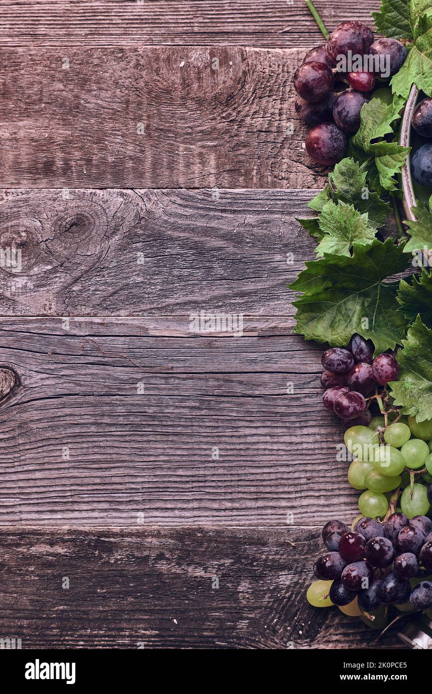 Wooden Background with Grapes and Vines. High quality photo Stock Photo