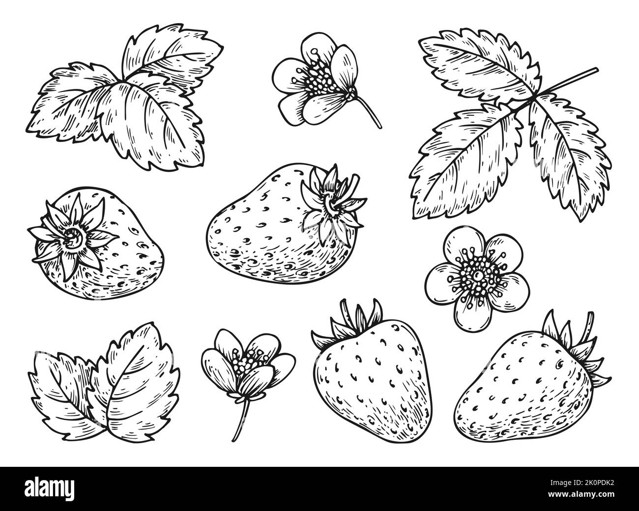 Page 2  Strawberry Tattoo Images  Free Download on Freepik