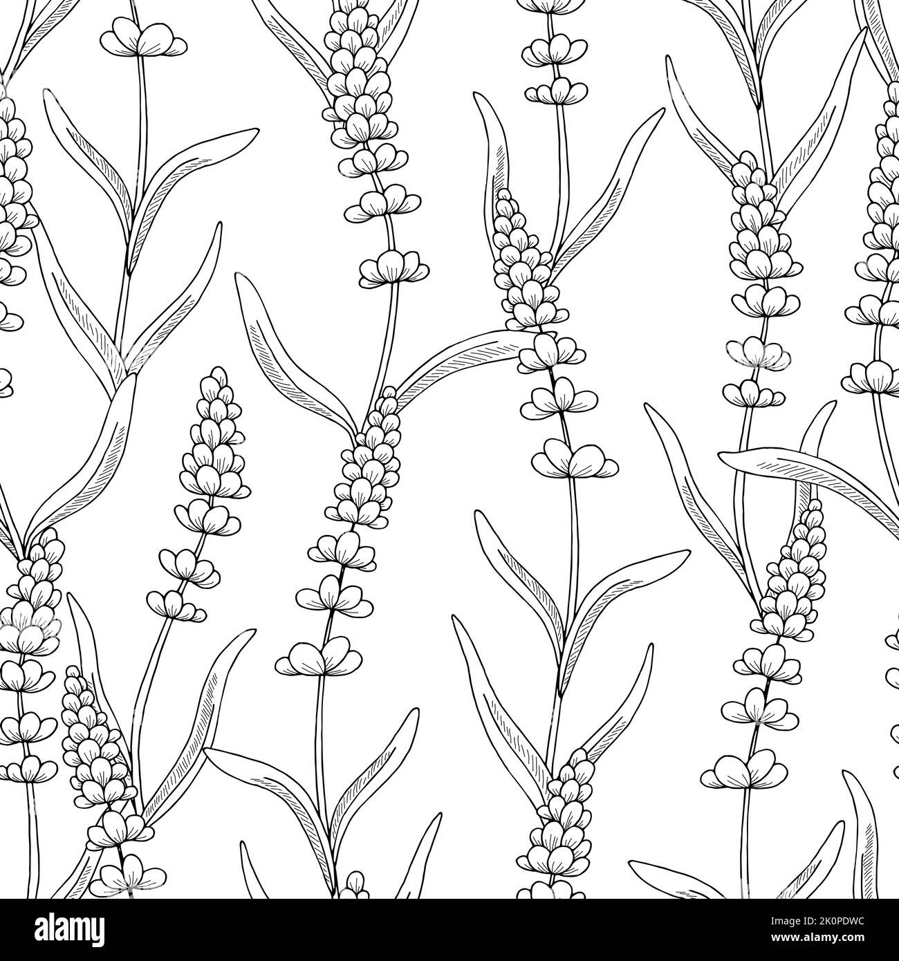 Lavender seamless background hires stock photography and images Alamy