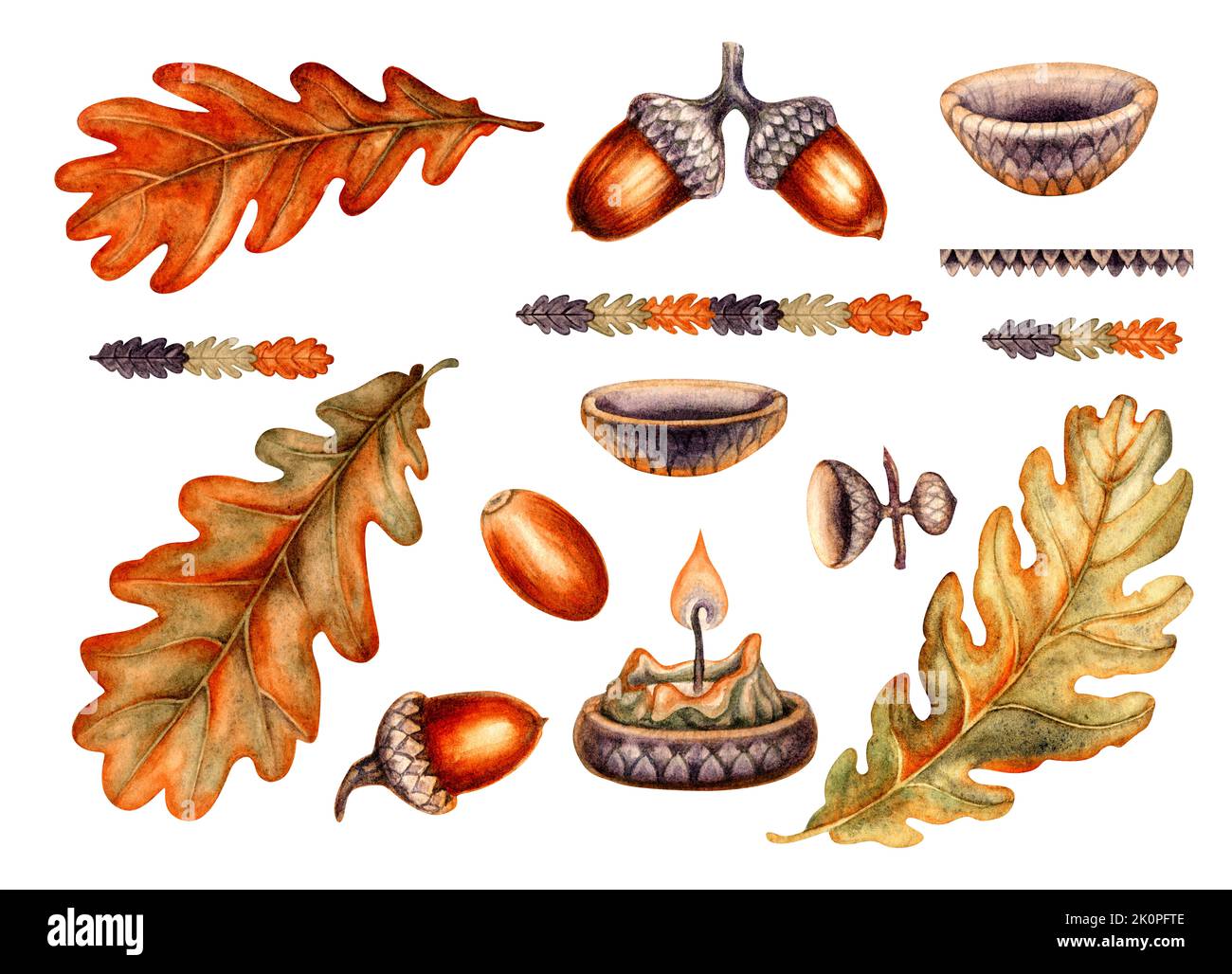Oak acorn logo hi-res stock photography and images - Alamy
