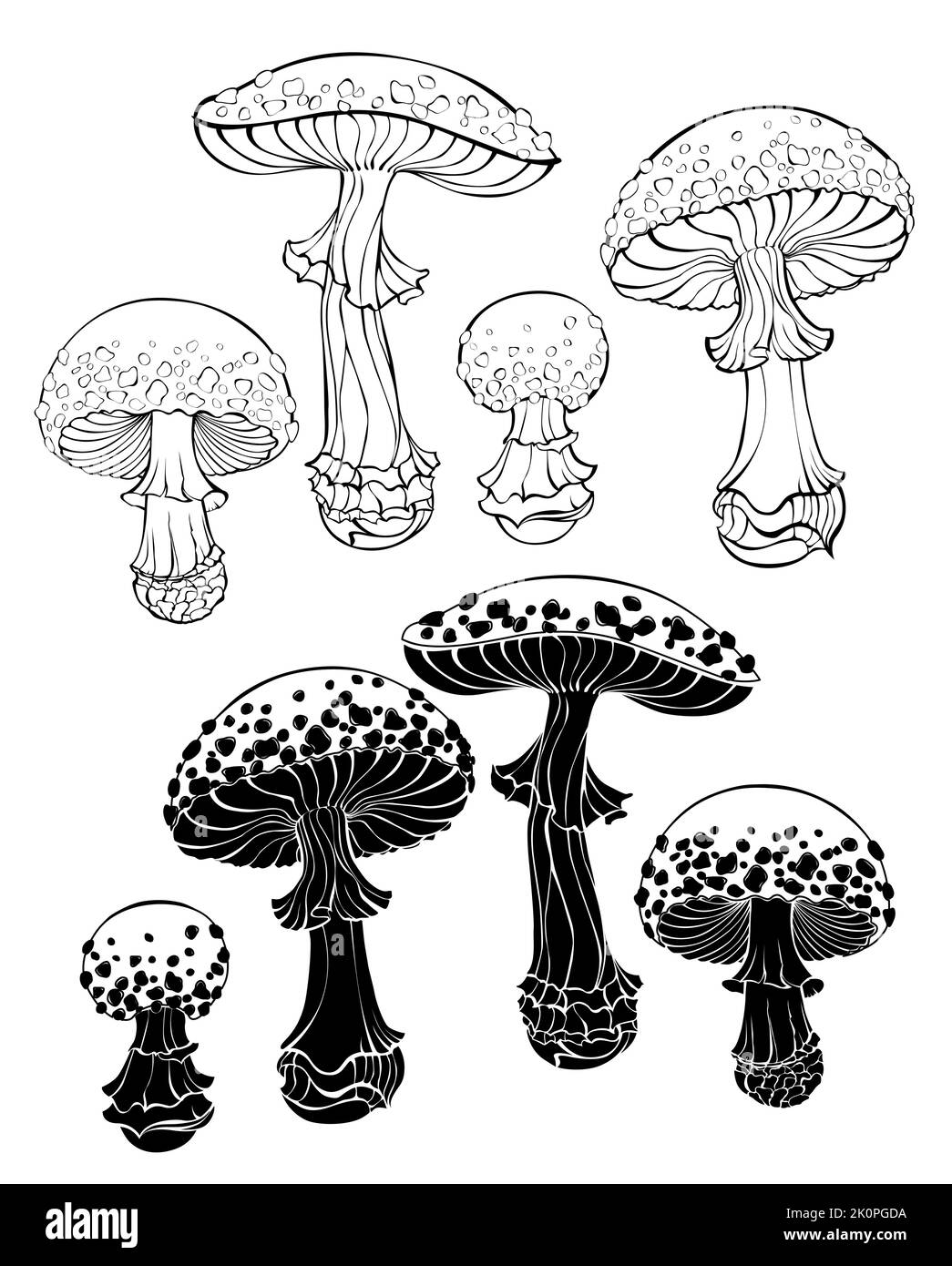 Set of silhouette and contour, isolated, artistically drawn fly agarics on white background. Cottagecore. Mushroomcore. Contour and silhouette element Stock Vector
