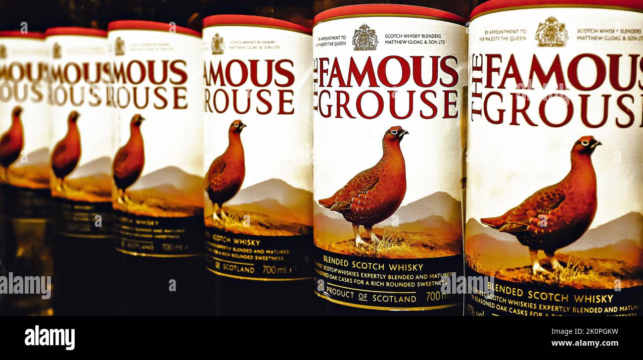 Famous Grouse Scotch editorial. The Famous Grouse Scotch whisky is a