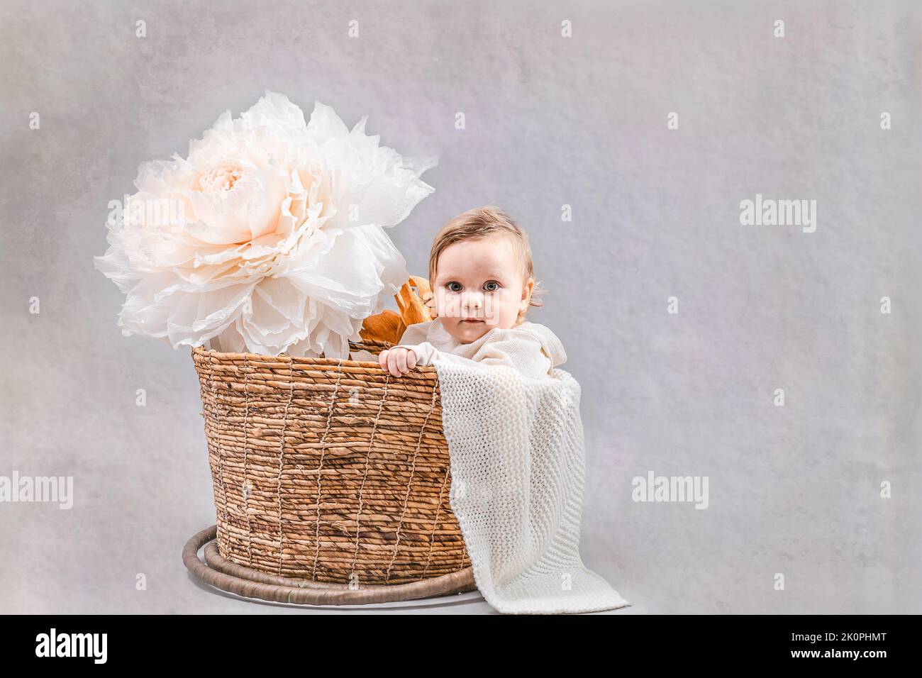 Baby in a basket on a gray background. Isolated photo with studio light. The concept of caring for the baby, preparing for childbirth, happy childhood and spending time with children. Stock Photo