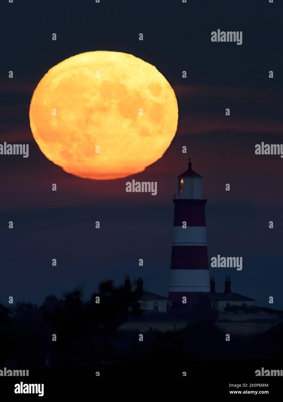 Rising Star Harvest Moon Isstsokini