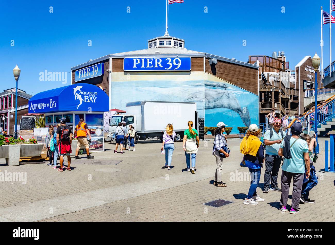 The aquarium at Pier 39 in San Francisco, California, USA Stock Photo