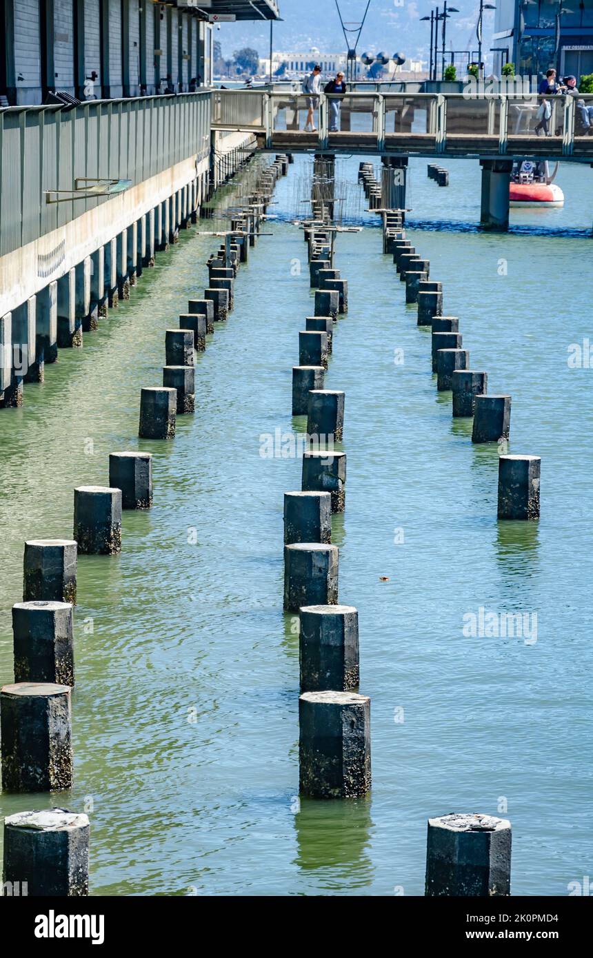 Rows of low posts alongside Pier 17 in the water in San Francisco, California. Stock Photo