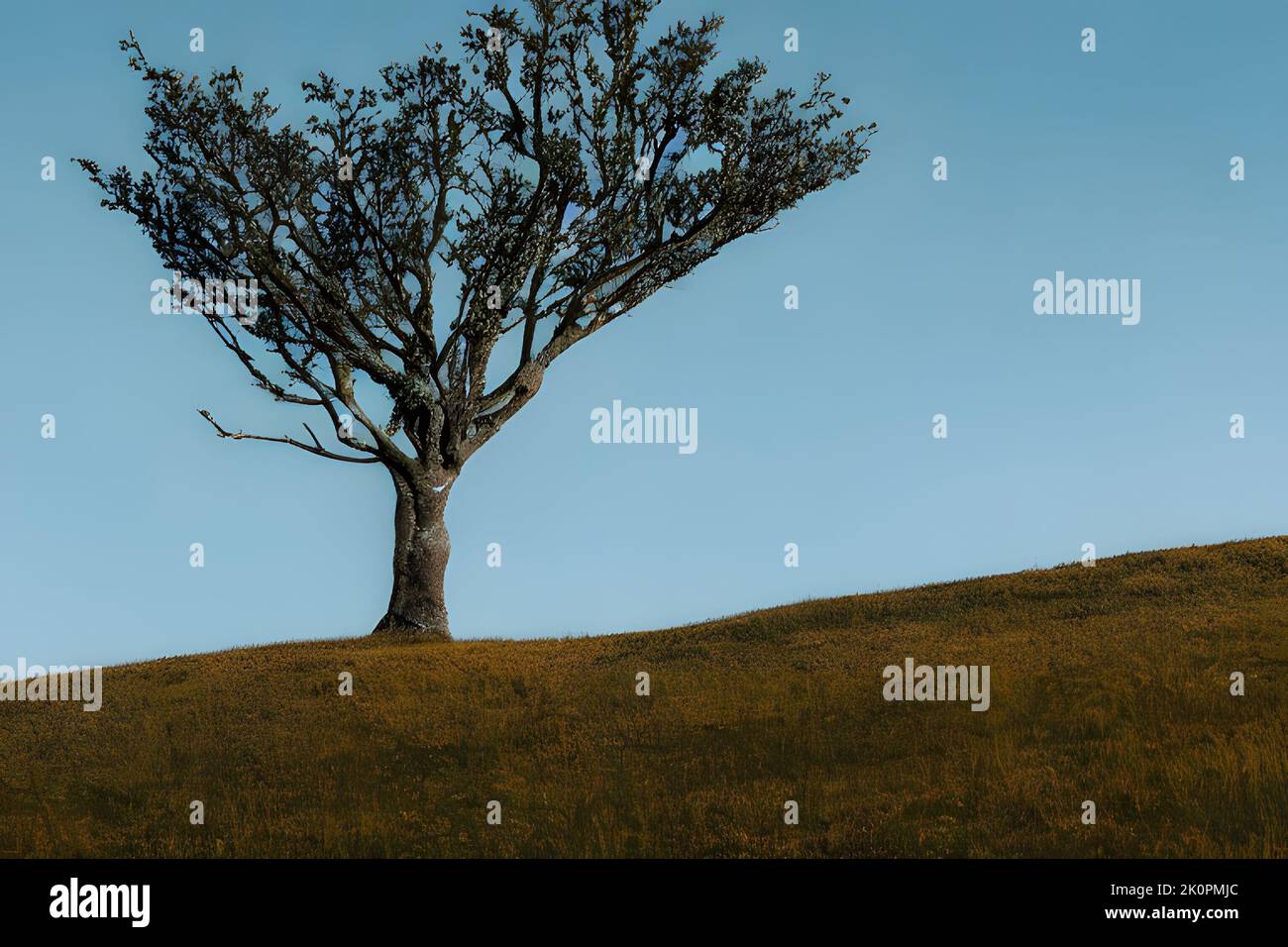 Tree standing on a hill hi-res stock photography and images - Alamy