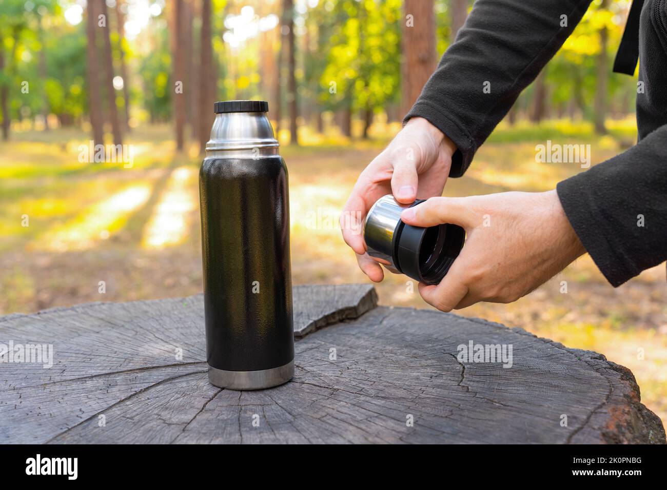 Male hands splitting thermos bottle cups to have a coffee break on a large tree stump in the forest. Stock Photo