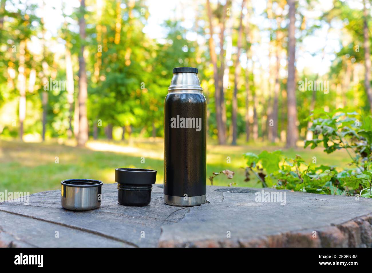 Black thermos flask and cups placed on a large tree stump in the forest. Stock Photo