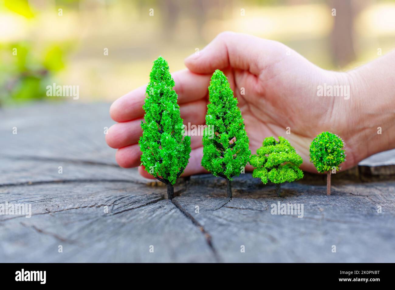 Hand shields toy trees growing on a tree stump in the woods. Creative forest planting and protection concept. Stock Photo