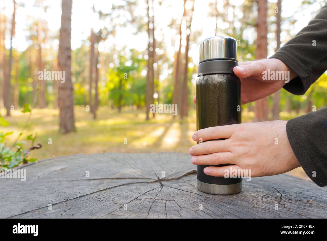 Black thermos bottle in male hands on a large tree stump with a forest background. Having a coffee break in the woods. Stock Photo