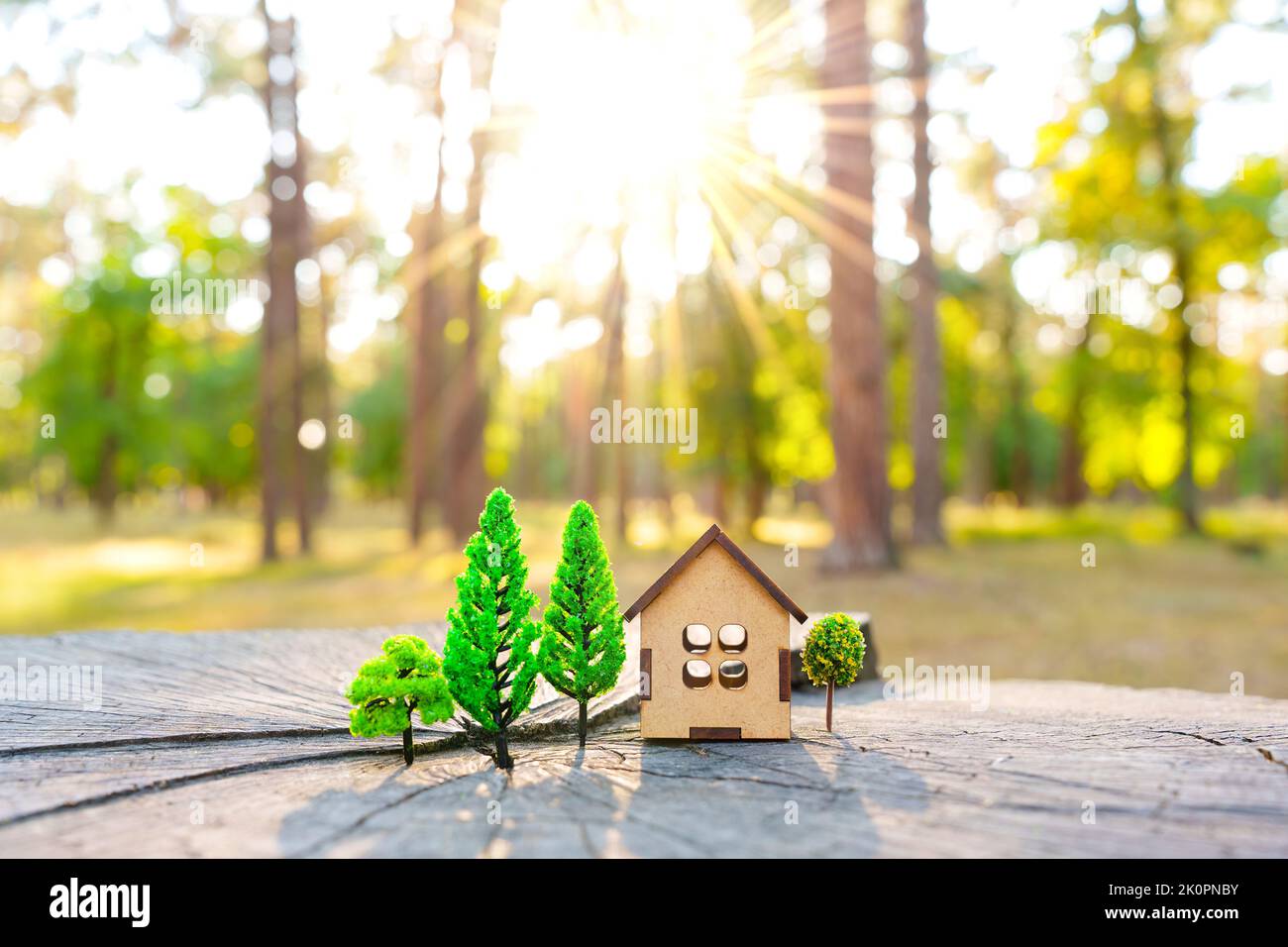 Wooden house model and toy trees placed on a large tree stump backlit with the setting sun. Urbanization and deforestation concept. Stock Photo