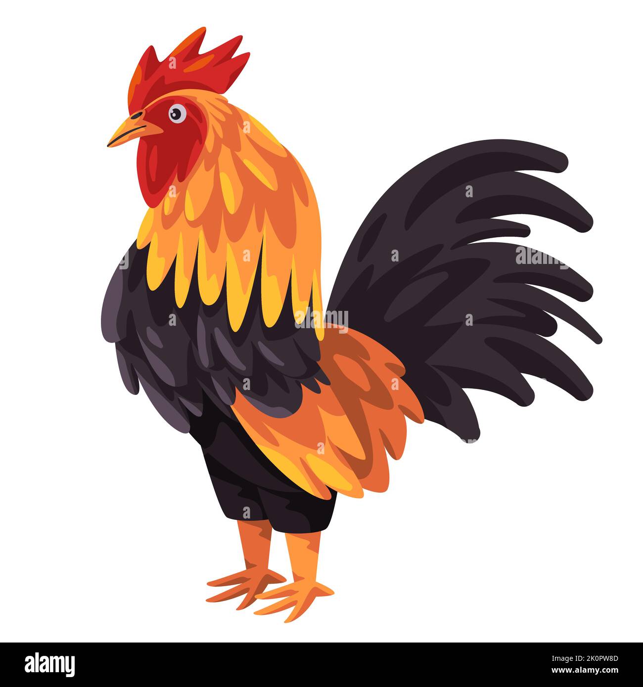 Rooster chicken male with feathers animal standing drawing illustration Stock Vector