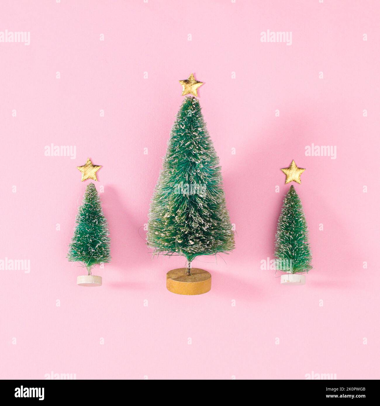 Three Christmas trees on pastel pink background. Flat lay Stock Photo