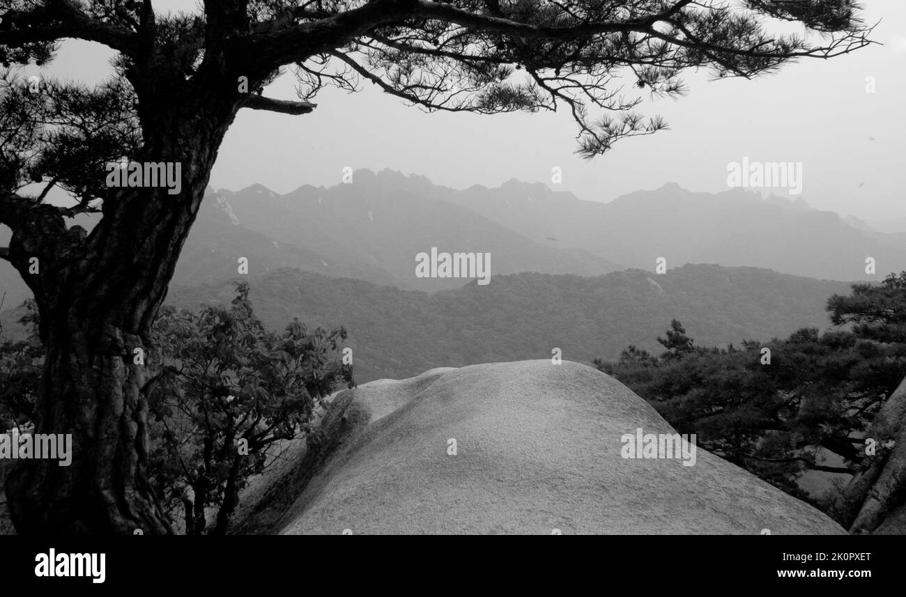Bukhasan mountain in Seoul, South Korea Stock Photo