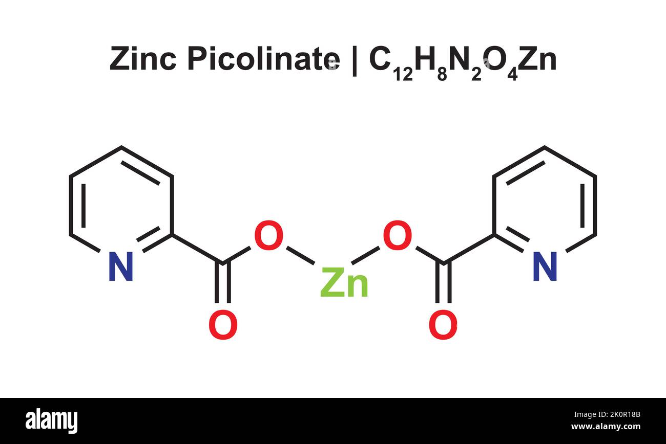 Zinc Picolinate (C12H8N2O4Zn) Chemical Structure. Vector Illustration