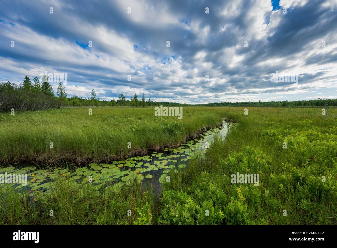 This fen, located in Door County Wisconsin, is one of the property's