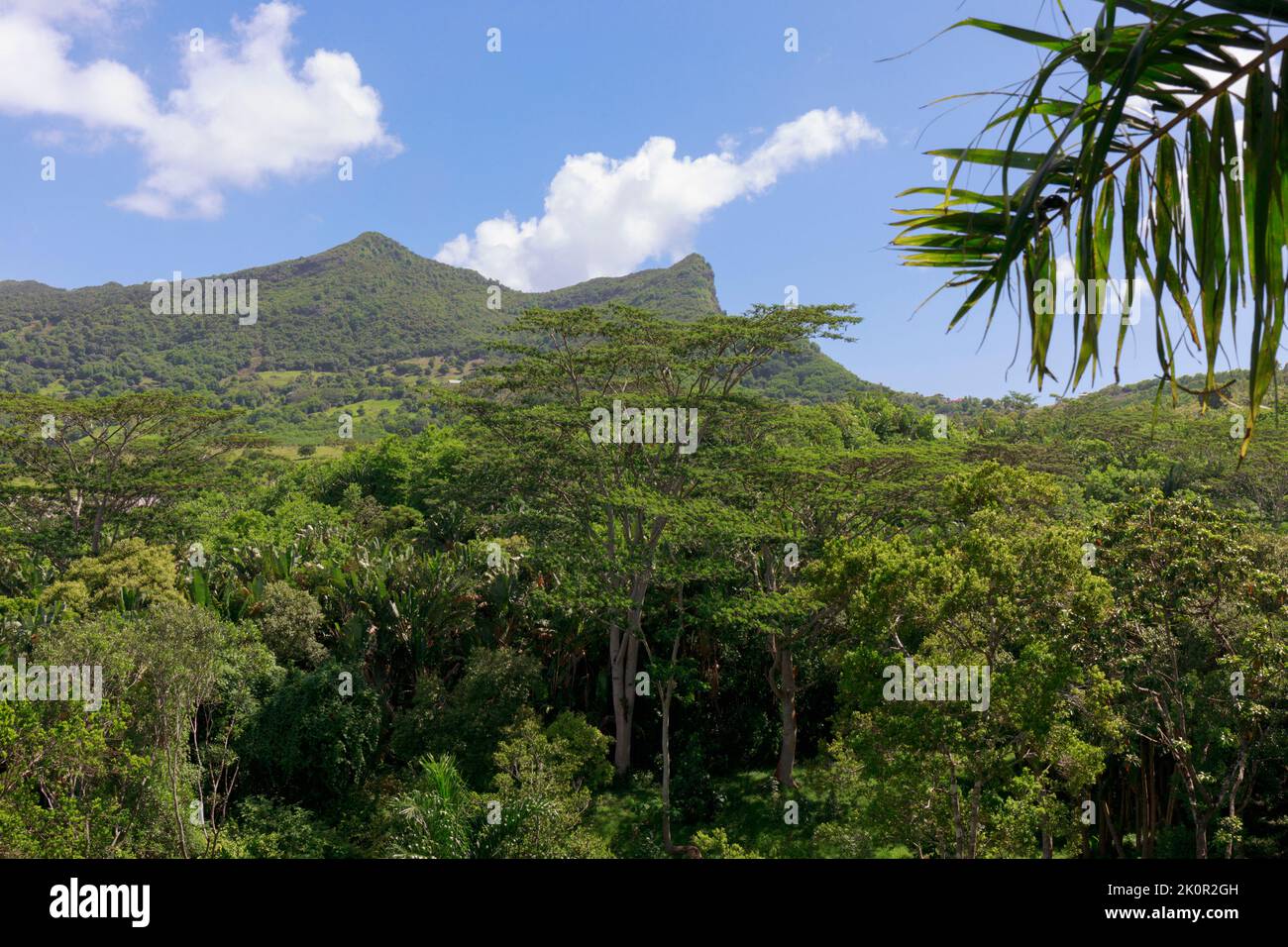 Mauritius, Mascarene Islands. Typical terrain in the Chamarel area. Stock Photo