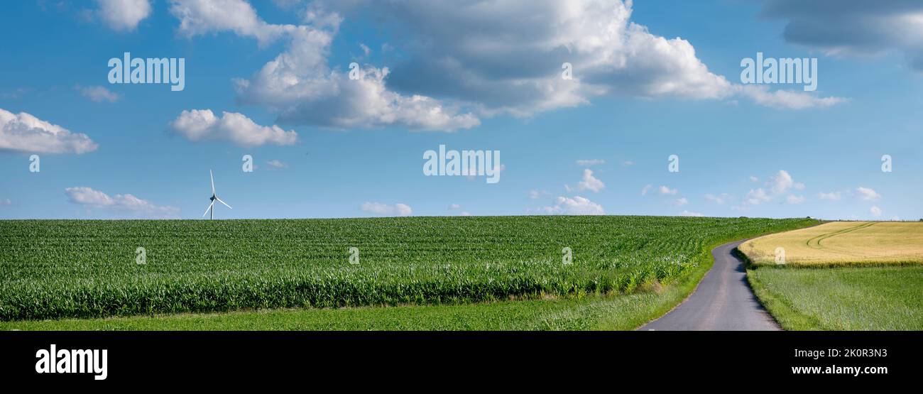 fields and country road in north luxemburg under blue sky in summer Stock Photo