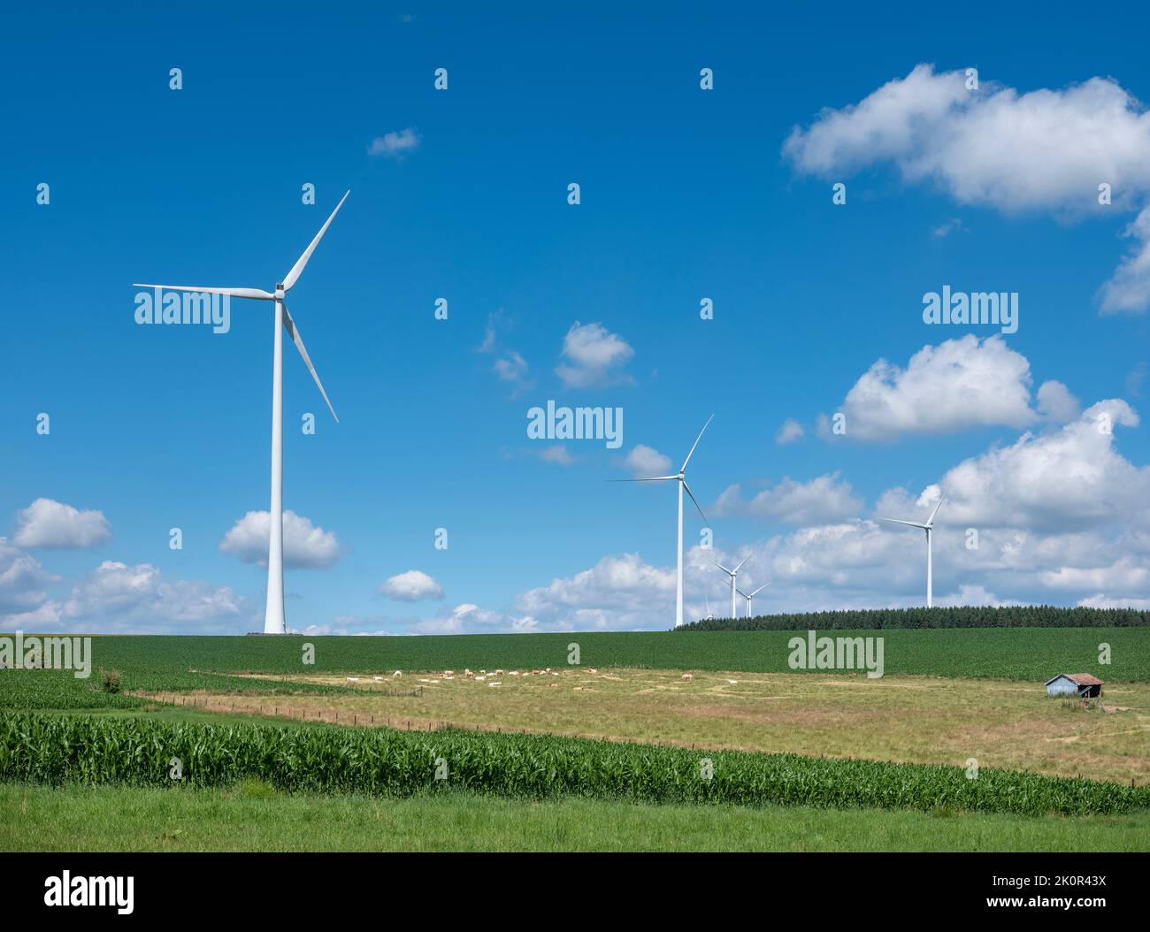 countryside with forest and wind turbines in northern luxemburg Stock Photo