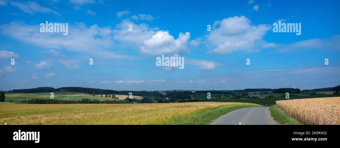 village of Longvilly and surrounding landscape in belgian province of luxemburg under cloudy sky in summer Stock Photo