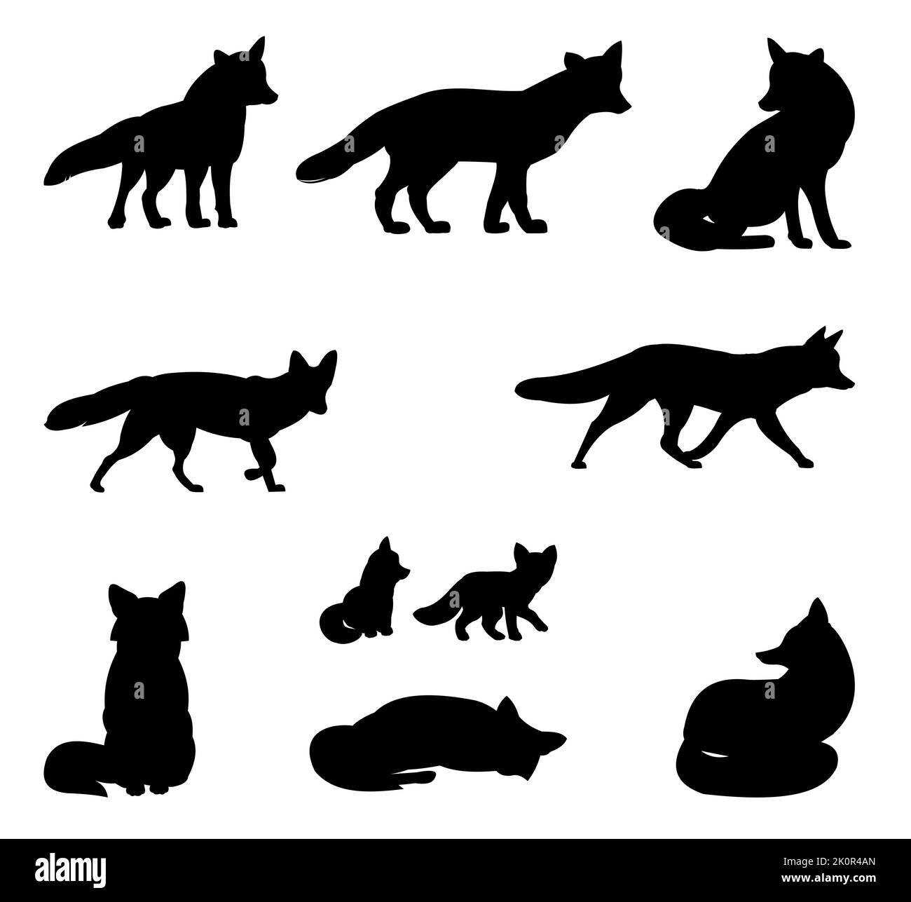 Fox set. Adults and foxes. Animal silhouette. Wild life picture. Isolated on white background. Vector. Stock Vector
